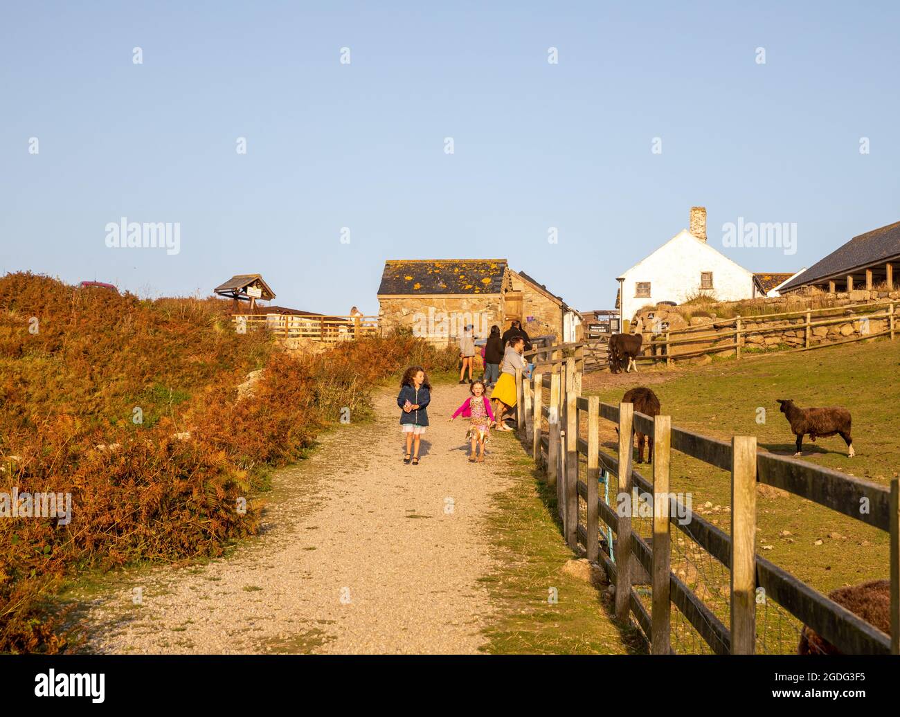 Une visite en famille à Greeb Farm, Land's End, Cornwall Banque D'Images