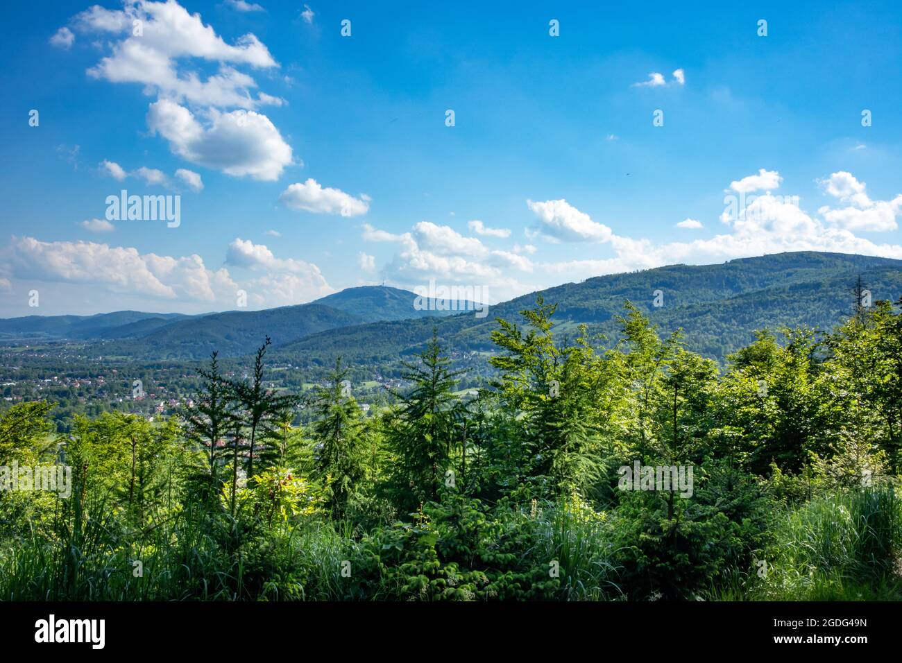 L'été dans les montagnes.Photo prise lors de l'expédition à Klimczok.Pic à Beskid Slaski Banque D'Images