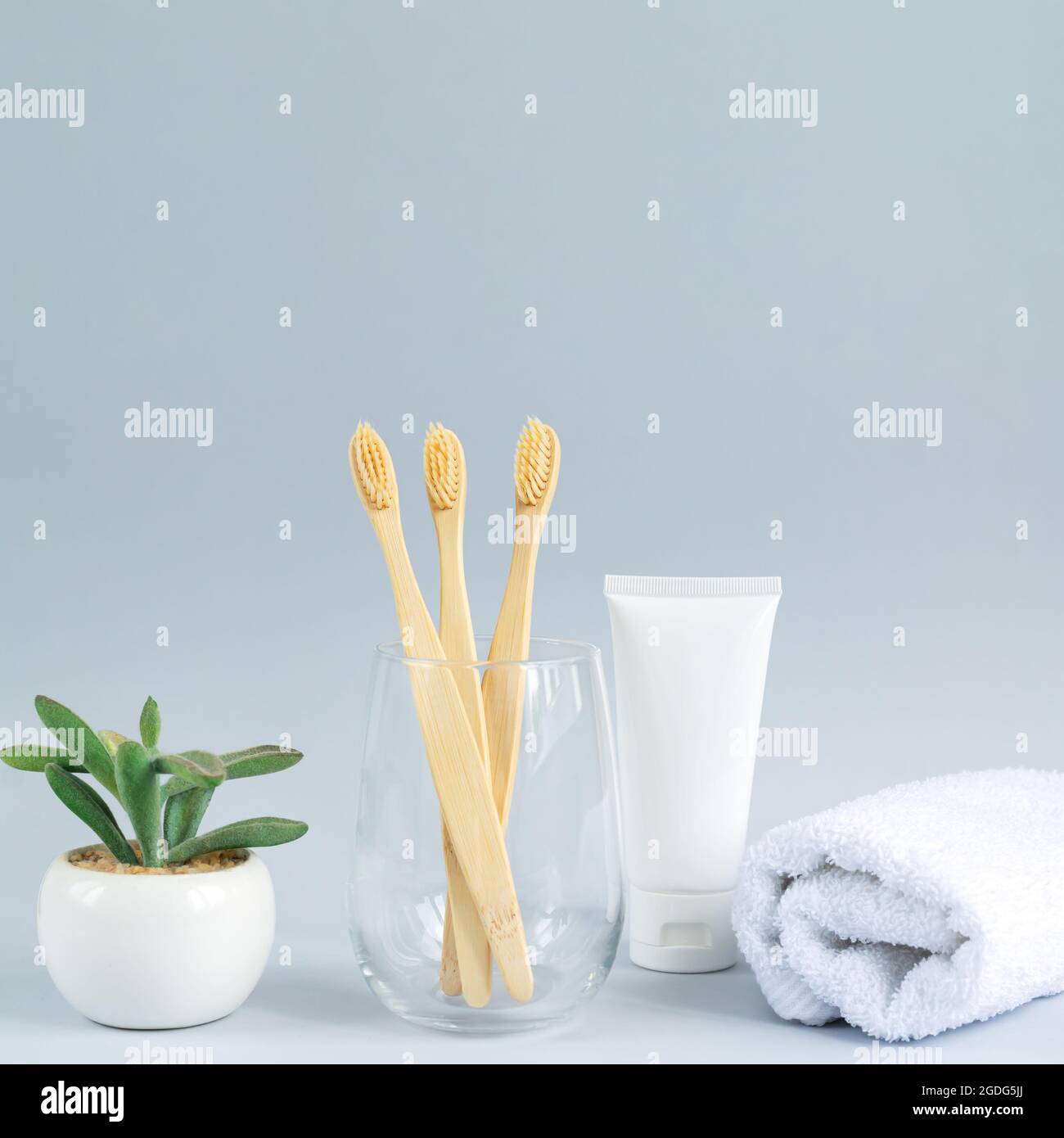 Verre avec ensemble familial de dentifrices en bambou écobiodégradables à côté de dentifrice, serviette et plante verte Banque D'Images