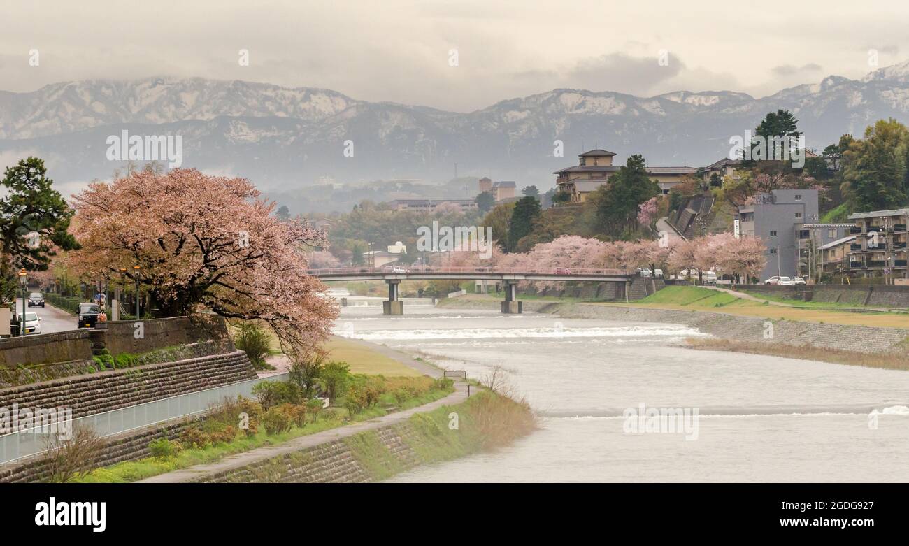 Sakura arbres nex à la rivière Asanogawa avec des montagnes enneigées derrière Banque D'Images