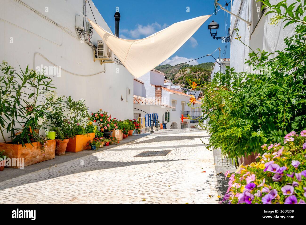 Ville pittoresque de Frigiliana située dans la région montagneuse de Malaga, Costa del sol, Andalousie, Espagne Banque D'Images