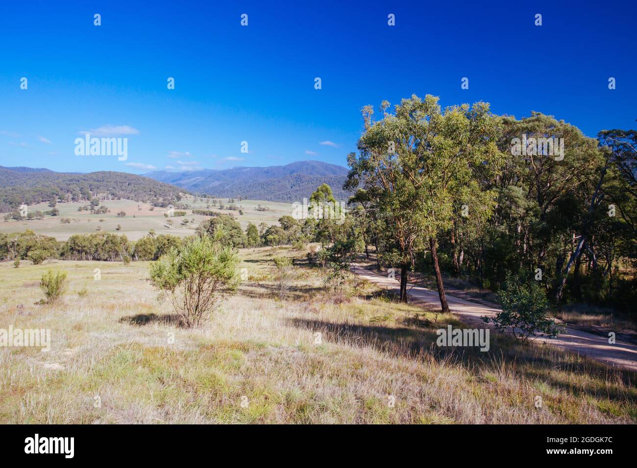 Vues sur les champs de Tom Groggin près de Thredbo lors d'une journée d'automne claire en Nouvelle-Galles du Sud, en Australie Banque D'Images