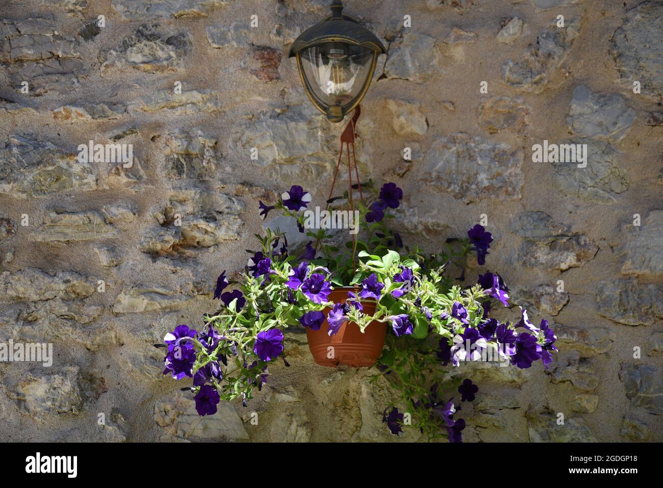 Pétunias aux vagues bleues dans un panier suspendu d'une ancienne lanterne murale en laiton contre un mur en pierre fait à la main à Dimitsana, Arcadia Péloponnèse, Grèce. Banque D'Images
