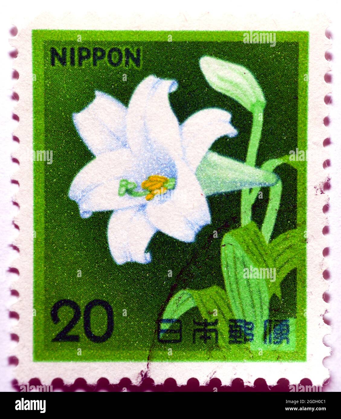 Un ancien timbre-poste utilisé imprimé au Japon montre la trompette blanche Lily Lilium longiflorum, faune, flore et patrimoine culturel série, vers 1982, Amaryll Banque D'Images