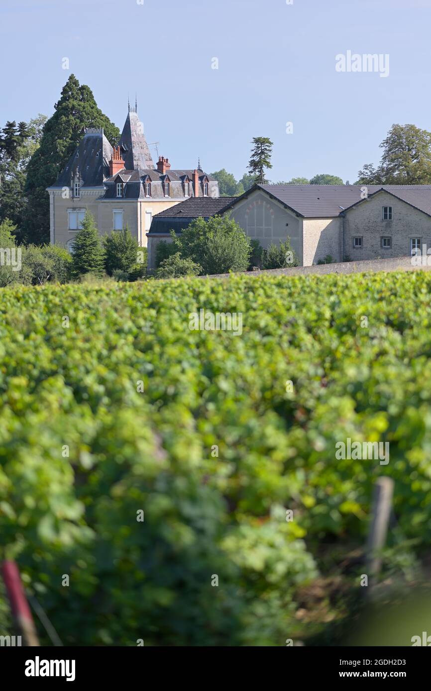Domaine Albert Morot avec le vignoble du Clos les Teurons de l'Hospice de Beaune, Beaune FR Banque D'Images Domaine Albert Morot avec le vignoble du Clos les Teurons de l'Hospice de Beaune, Beaune FR Banque D'Images