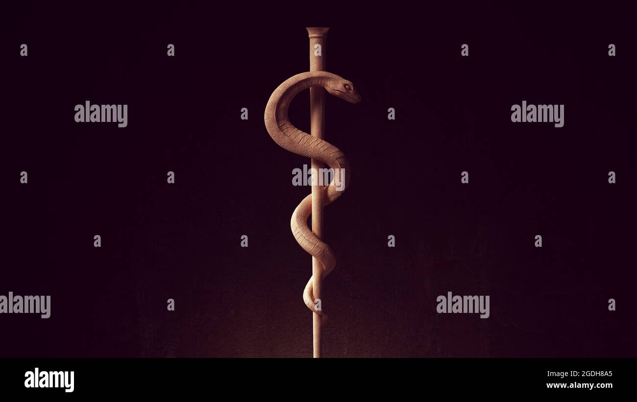 Serpent asclepius Banque de photographies et d’images à haute