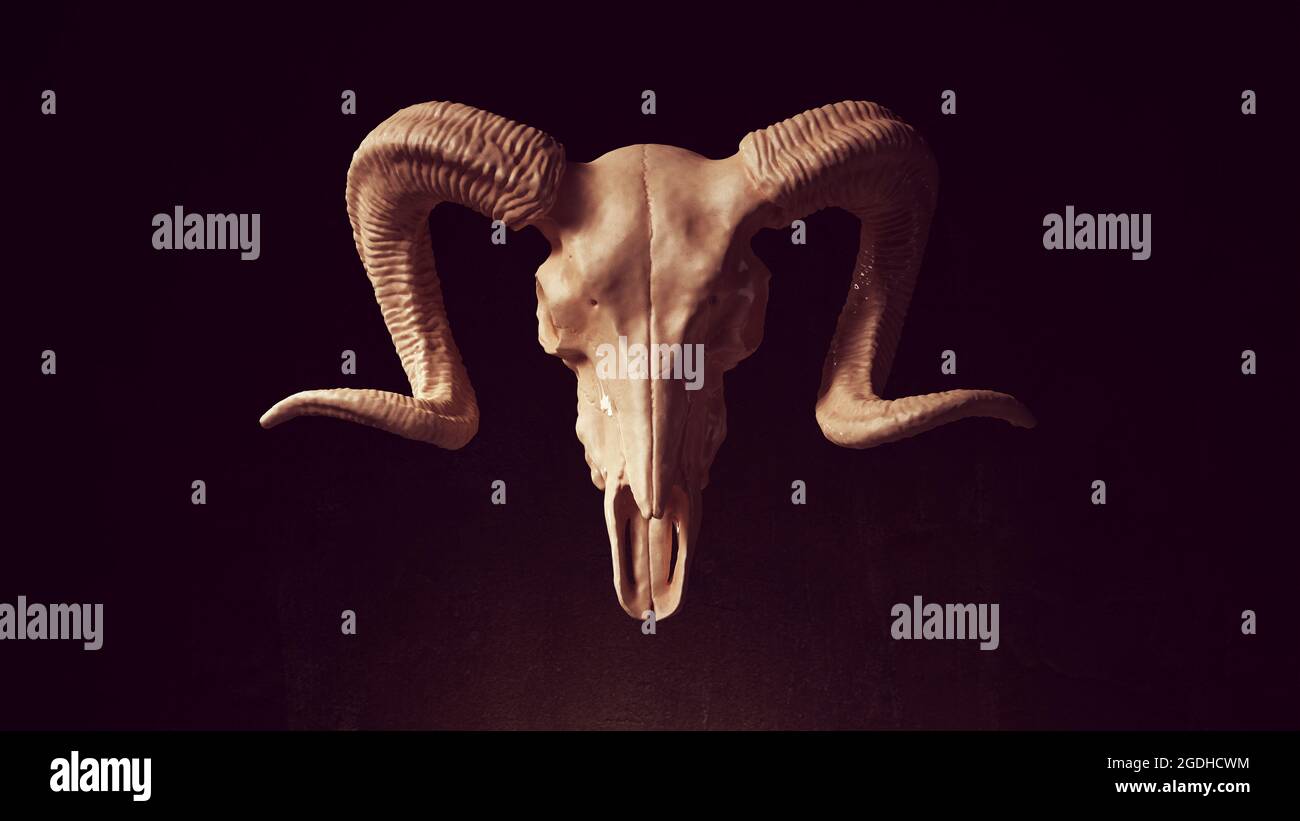 RAM crâne Anatomie OS Horn Halloween Horror Trophy rendu d'illustration 3d Banque D'Images