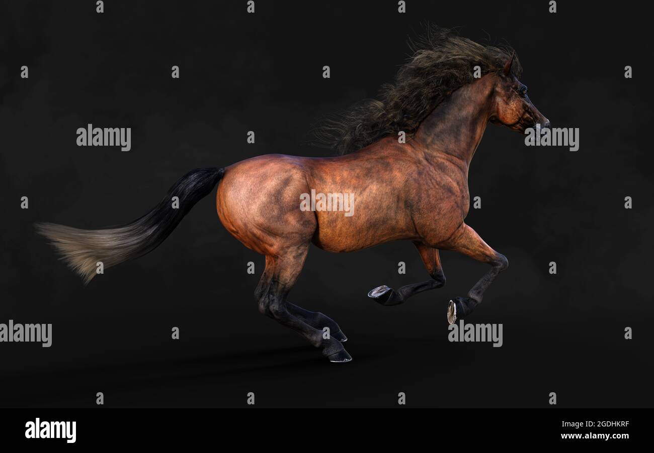 Illustration 3d magnifique posture du cheval brun et longue Mane isoler sur arrière-plan sombre avec masque. Banque D'Images