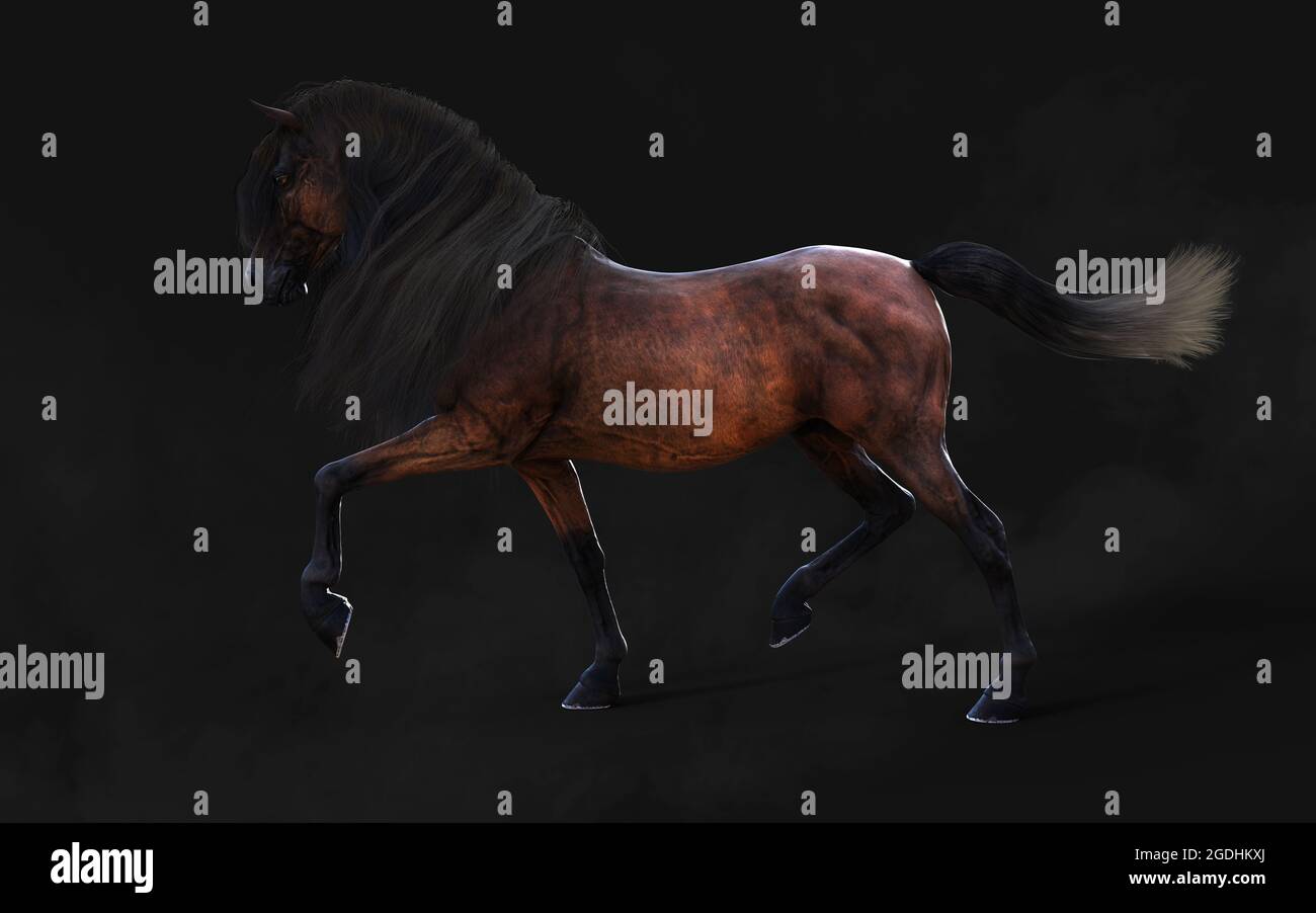 Illustration 3d magnifique posture du cheval brun et longue Mane isoler sur arrière-plan sombre avec masque. Banque D'Images