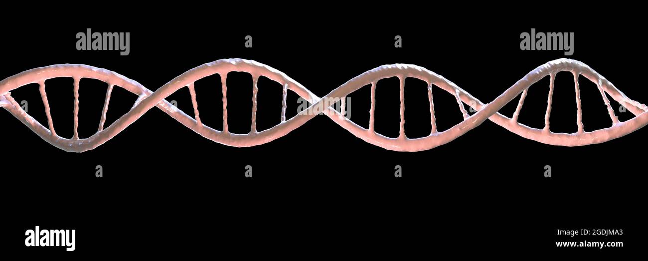 Molécule d'ADN, illustration Banque D'Images