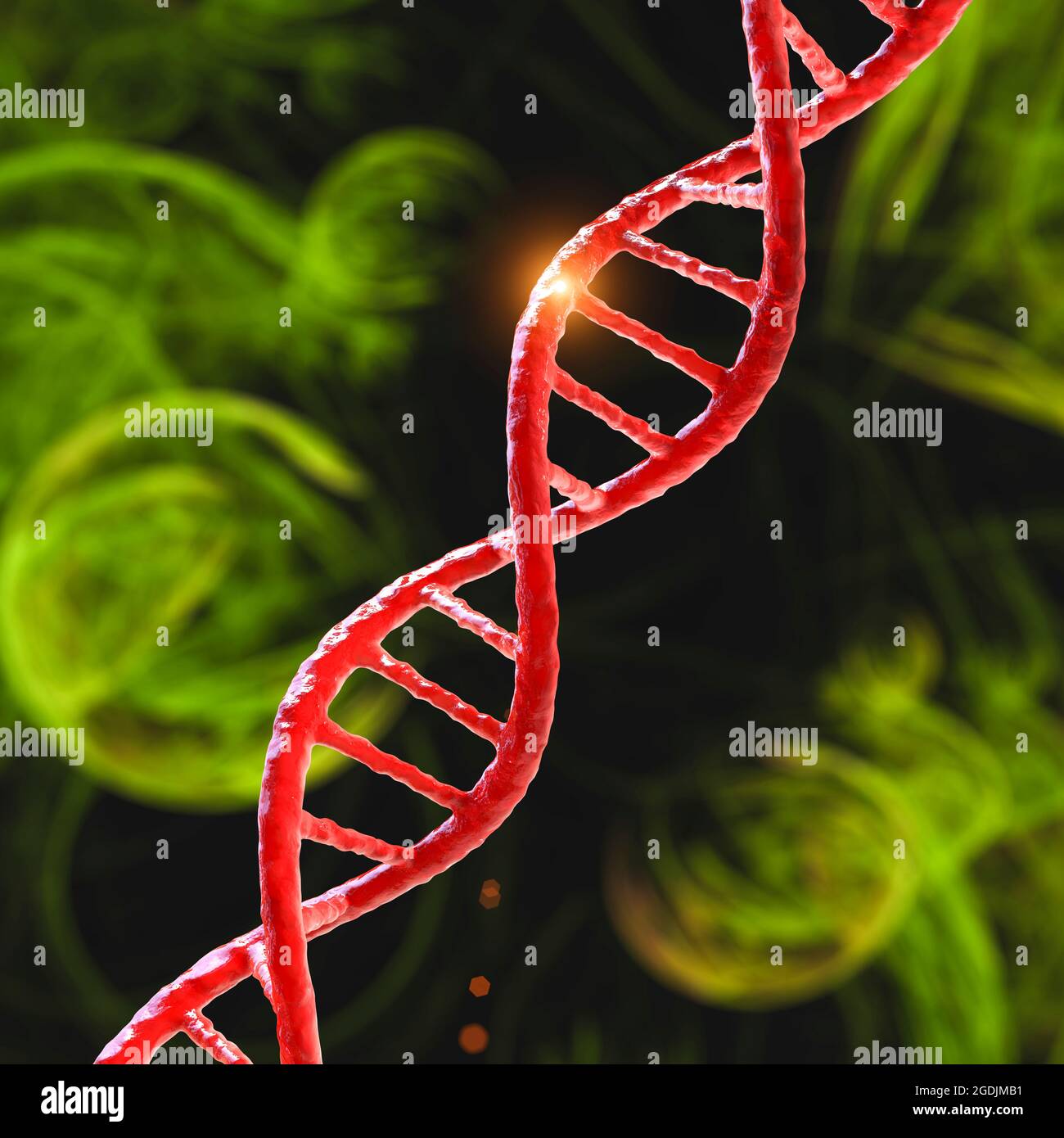 Molécule d'ADN, illustration Banque D'Images