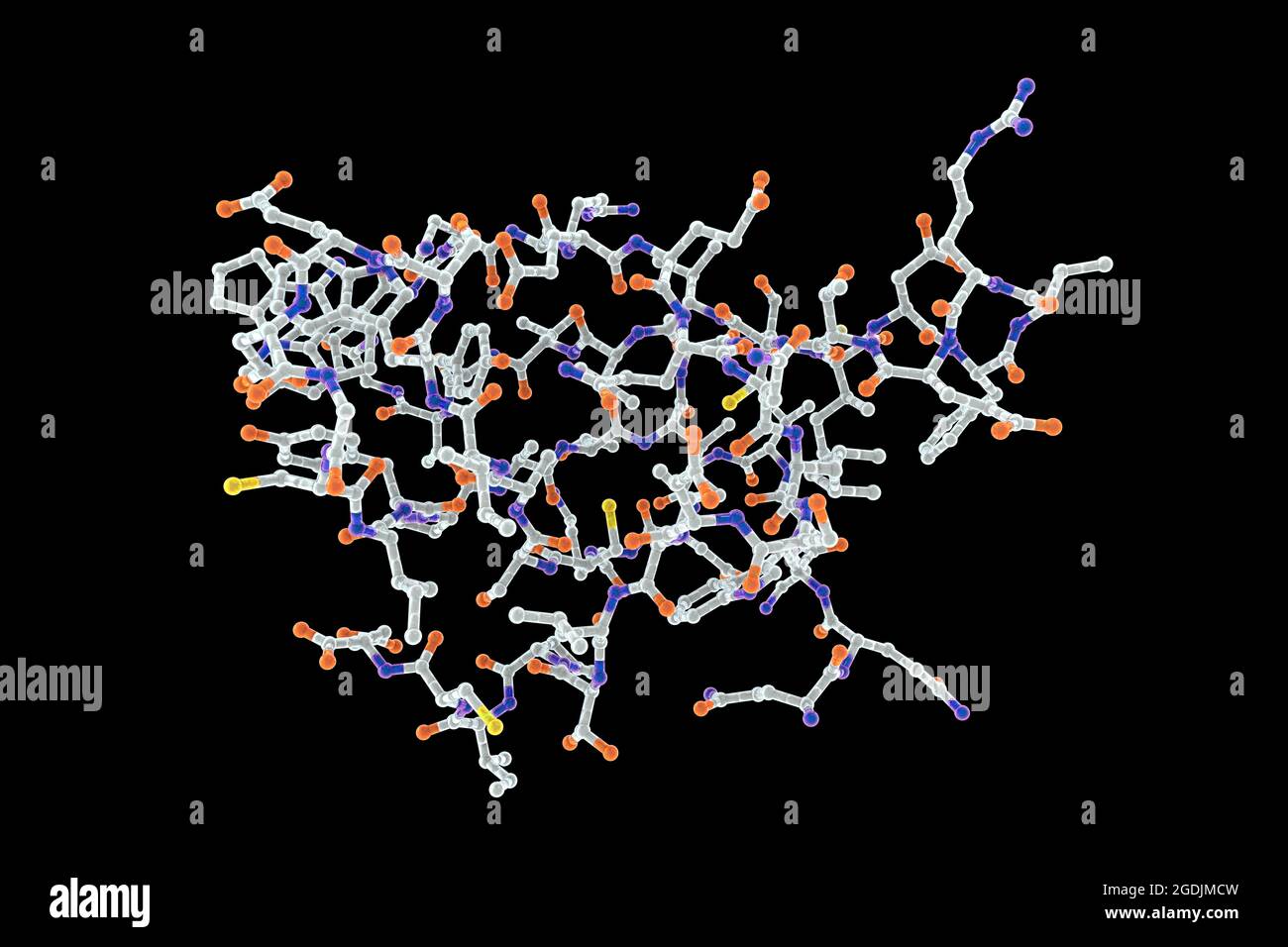 Protéine neurone moteur de survie, illustration Banque D'Images