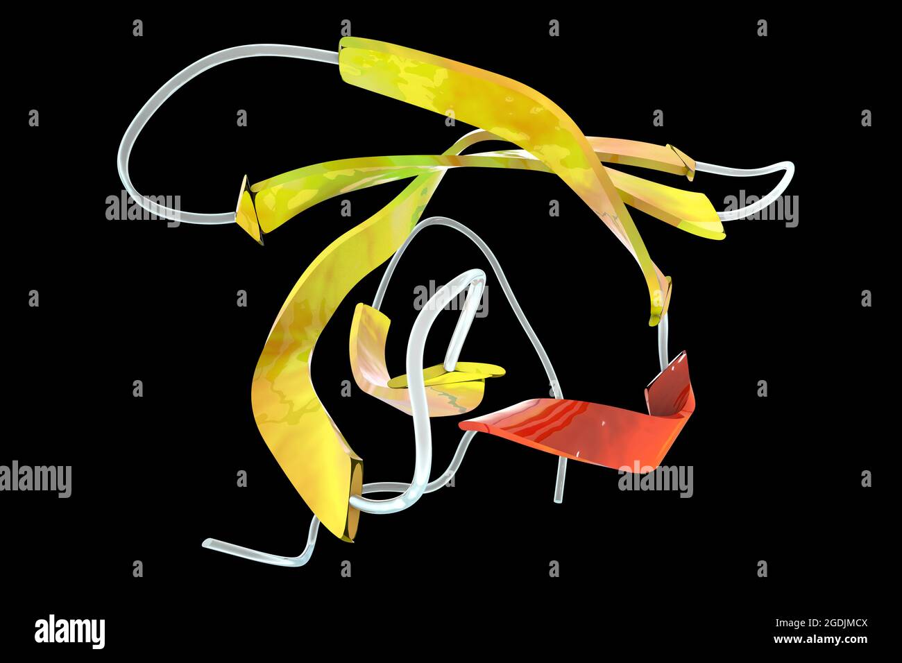 Protéine neurone moteur de survie, illustration Banque D'Images