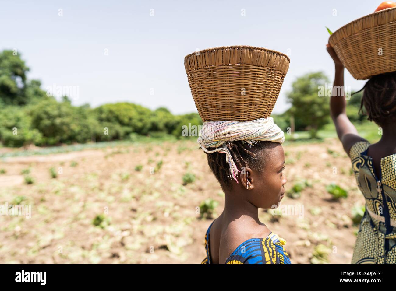 Vue partielle d'un groupe de filles africaines noires qui équilient des paniers de paille sur leur tête; concept de travail des enfants Banque D'Images