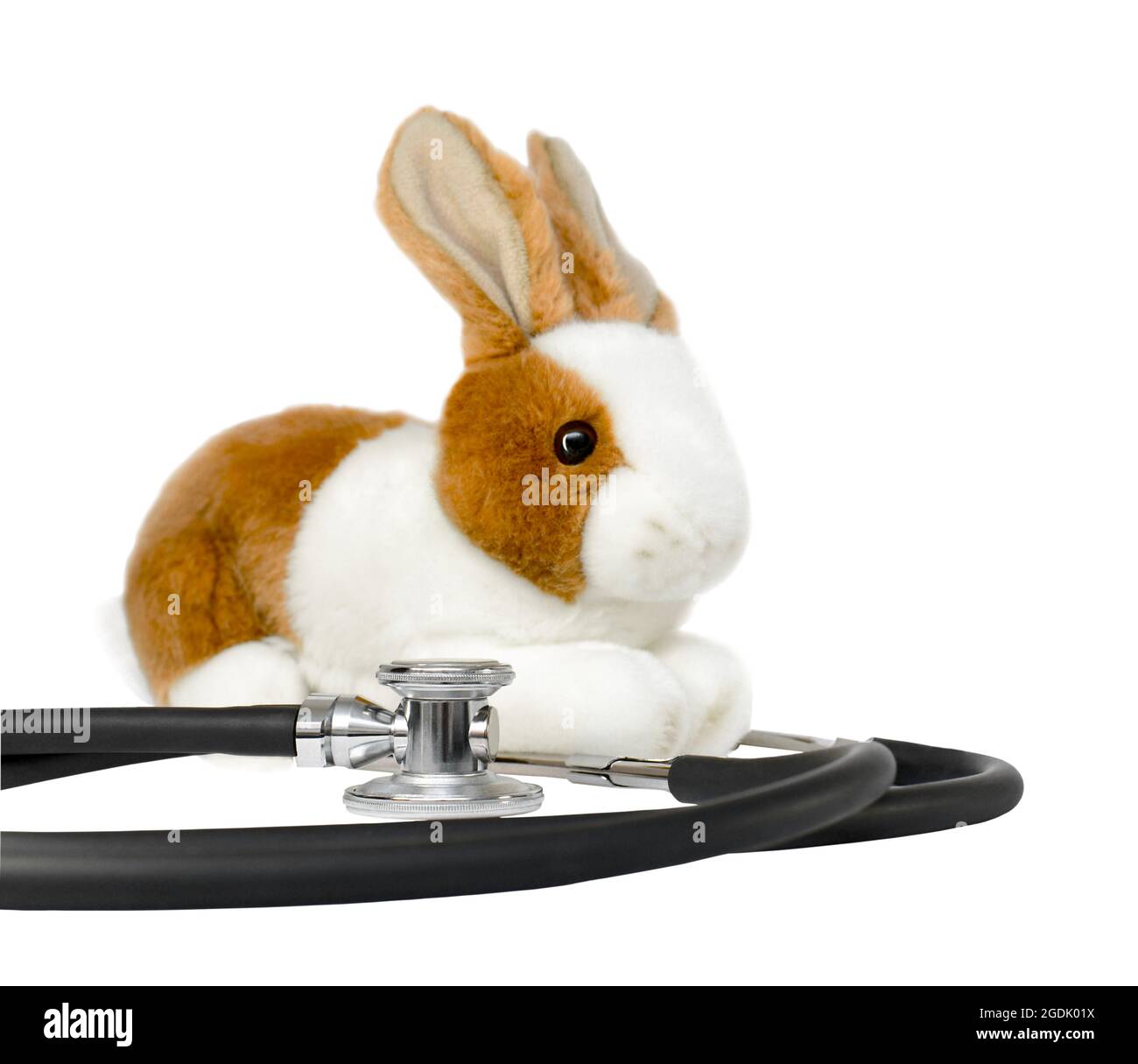 Stéthoscope et lapin en peluche. Isolé sur un fond blanc. Banque D'Images