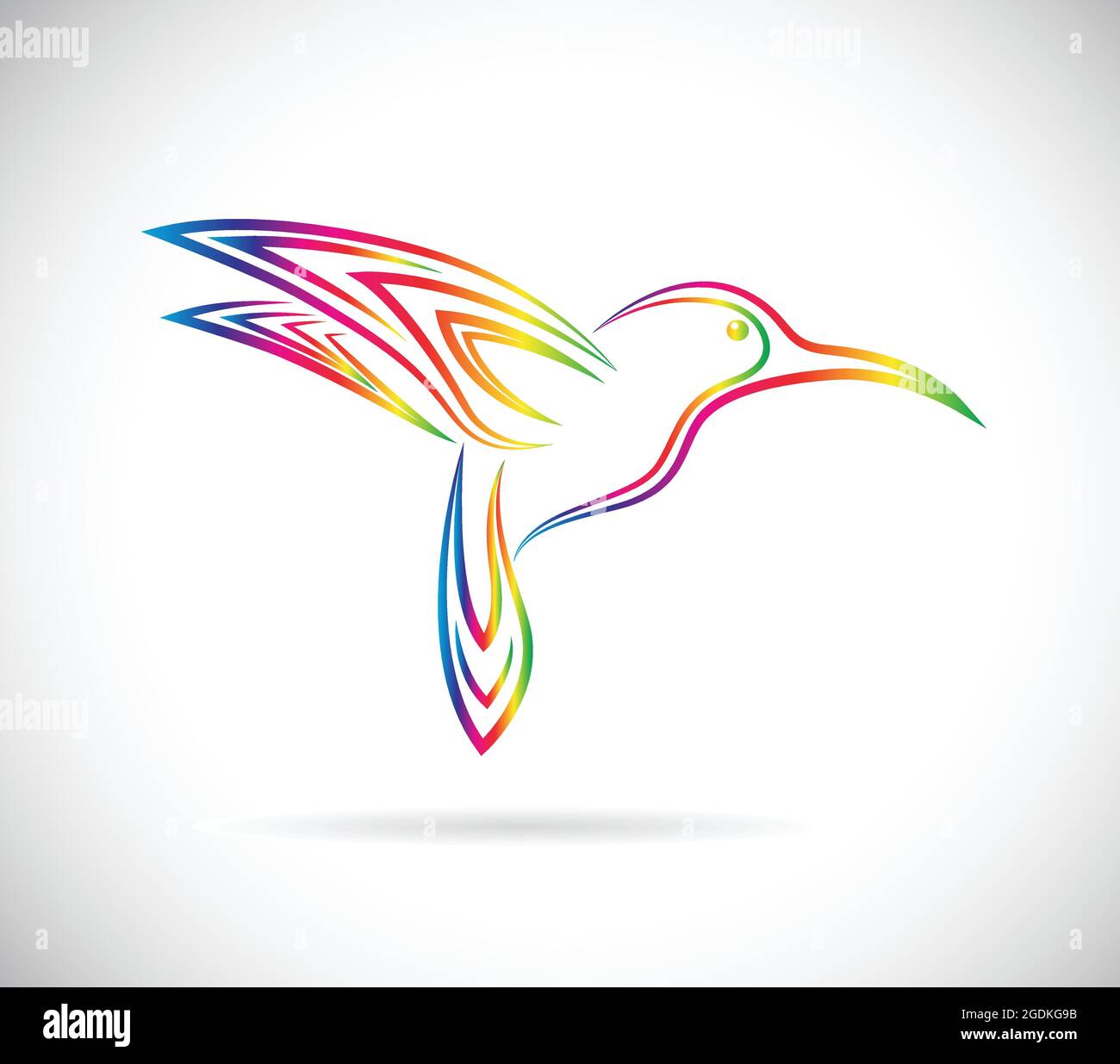 Image vectorielle d'un motif colibris sur fond blanc. Illustration vectorielle superposée facile à modifier. Animaux sauvages. Illustration de Vecteur