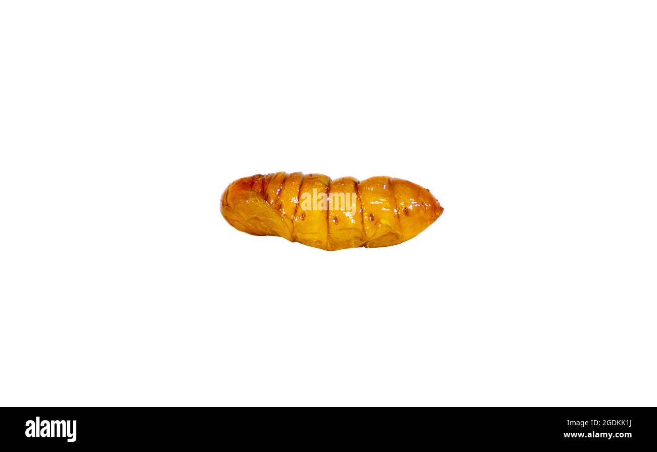 Les larves de papillons qui ont été arrachées de fils de soie peuvent être frites comme une collation. Masque. Banque D'Images
