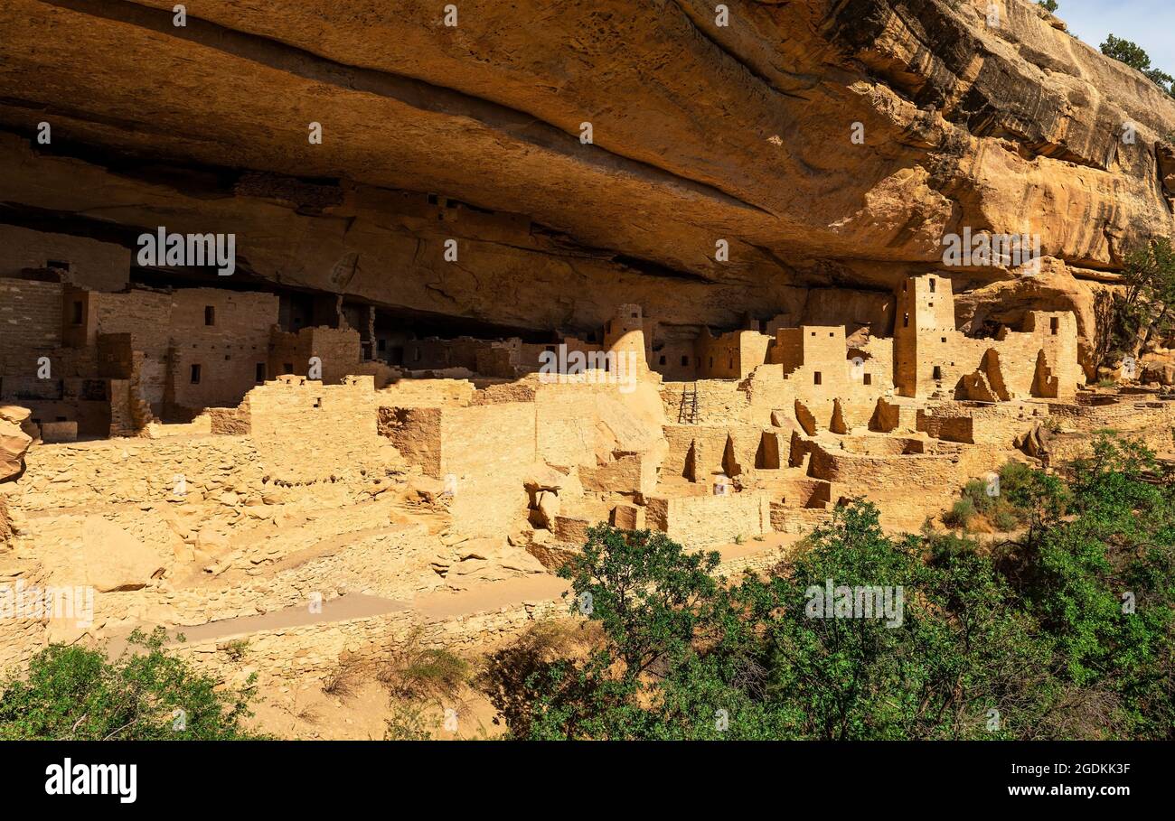 Résidence du Cliff Palace de la culture indigène Pueblo, parc national de Mesa Verde, Colorado, États-Unis. Banque D'Images