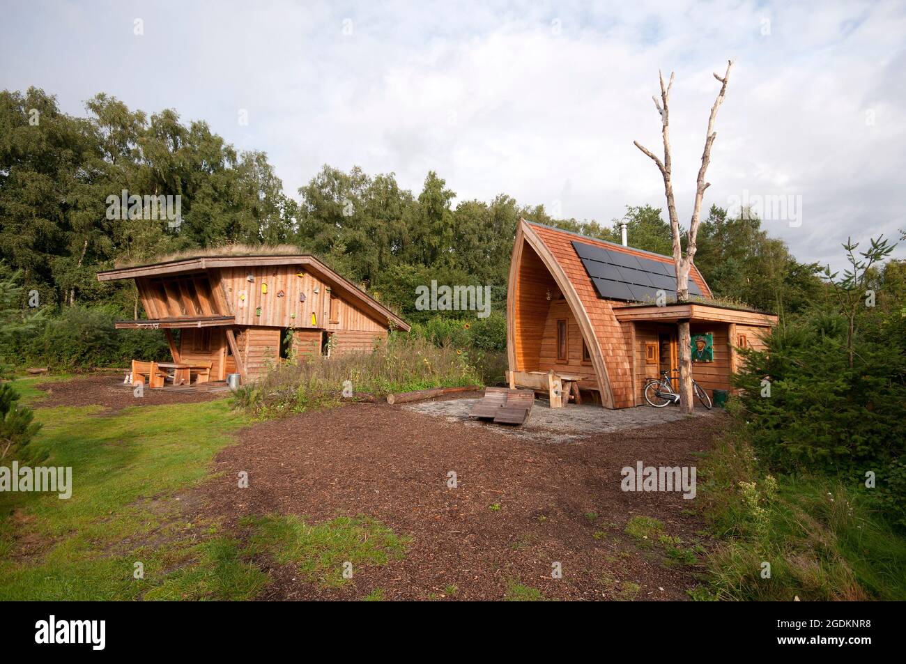 Bungalows en bois dans le camping de Wije Werelt, Otterlo, Gelderland, pays-Bas Banque D'Images