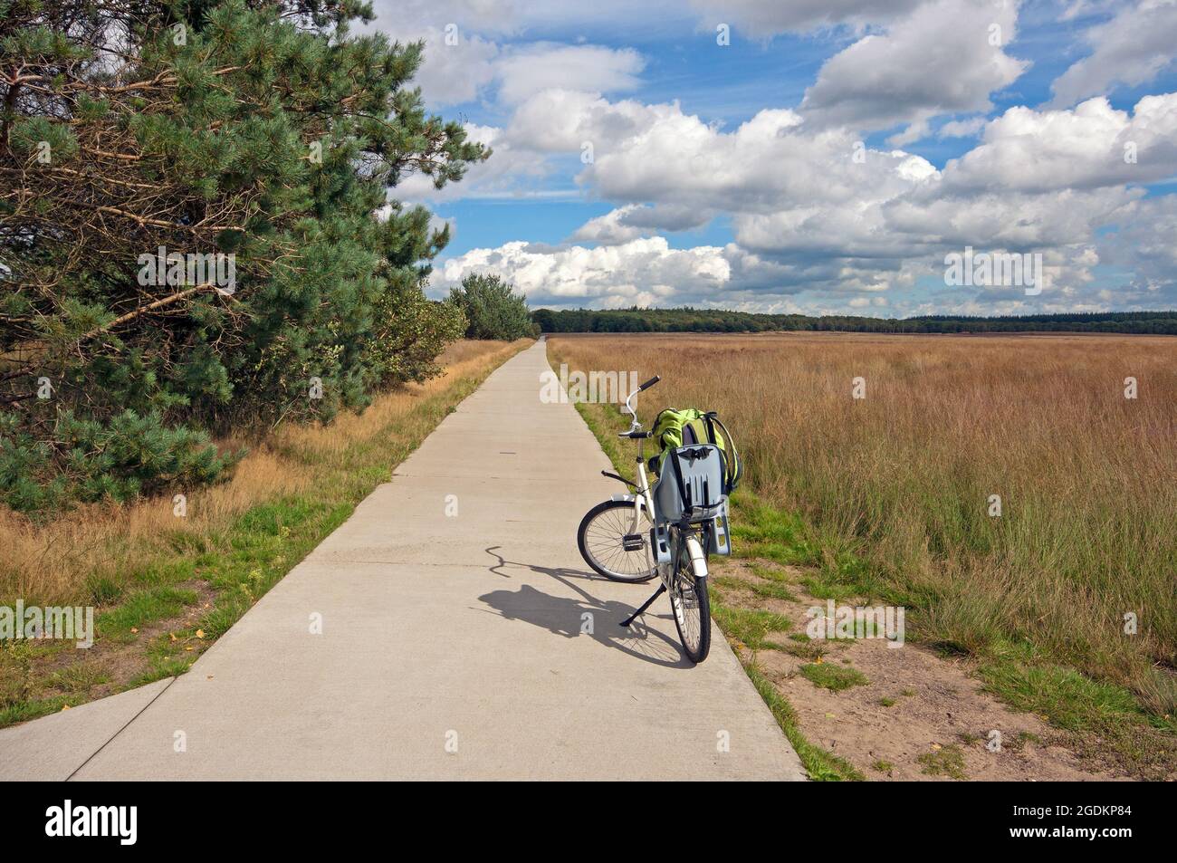 Piste cyclable dans le parc national de Hoge Veluwe, pays-Bas Banque D'Images