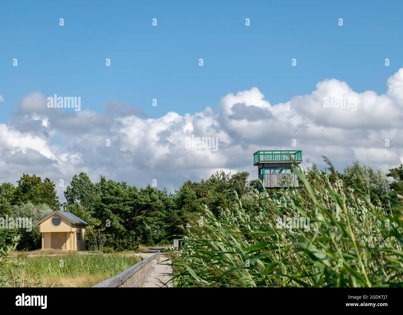 Paysage traditionnel de bord de mer d'Estonie, vue sur le centre ornithologique de Kabli, baie de Parnu, Estonie Banque D'Images