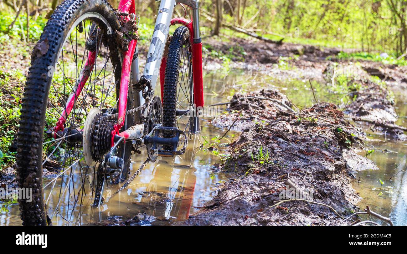VTT sale dans la flaque de la forêt verte de mudd. Vue de la roue de vélo.saleté sur vélo. Banque D'Images