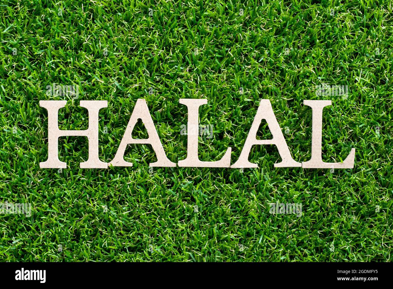 Lettre de bois en mot halal sur fond d'herbe verte artificielle Banque D'Images
