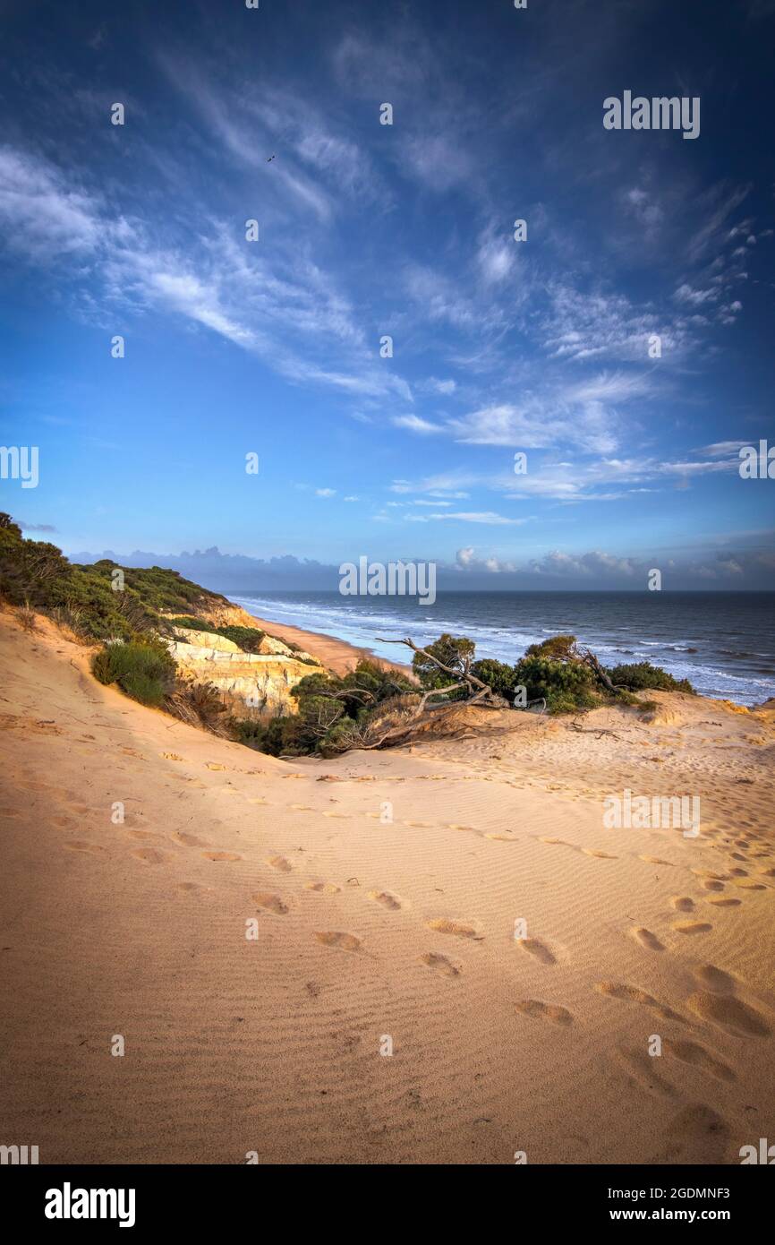 Vue sur la belle plage de Mazagon, située dans la province de Huelva, en Espagne. Avec ses falaises, ses pins, ses dunes, sa végétation verte Banque D'Images