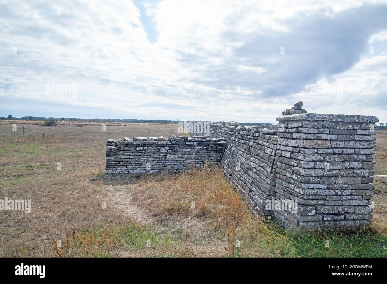 Le mur de Carl X Gustav divisant l'Öland en Suède. Le mur a été construit en 1653 pour garder le cerf rouge dans les terrains de chasse royaux du sud de l'Öland Banque D'Images