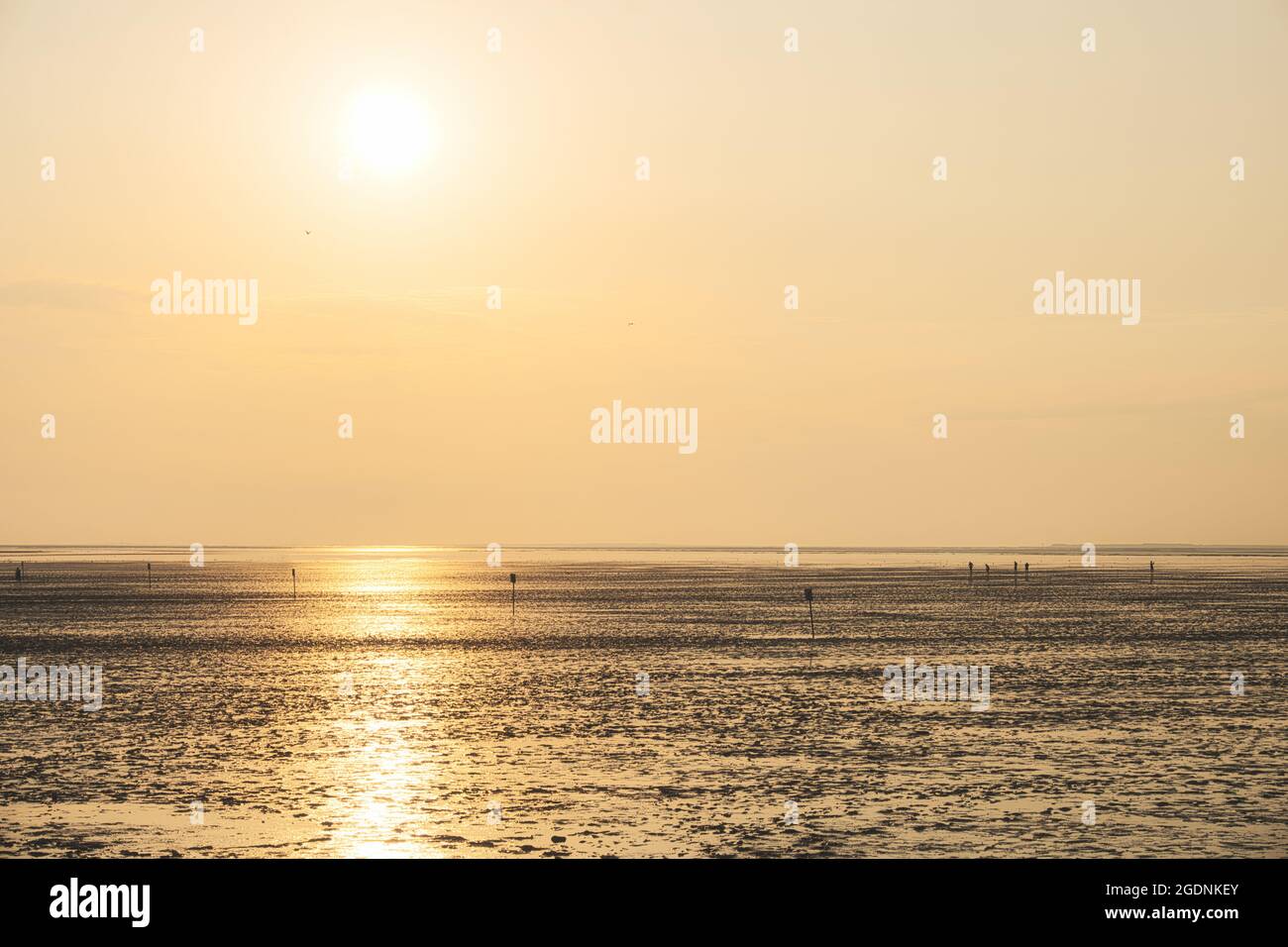 Coucher de soleil sur la mer des Wadden, Parc national de la mer des Wadden en Basse-Saxe, patrimoine mondial de l'UNESCO. Côte de la Mer du Nord de la Frise orientale, Allemagne. Banque D'Images