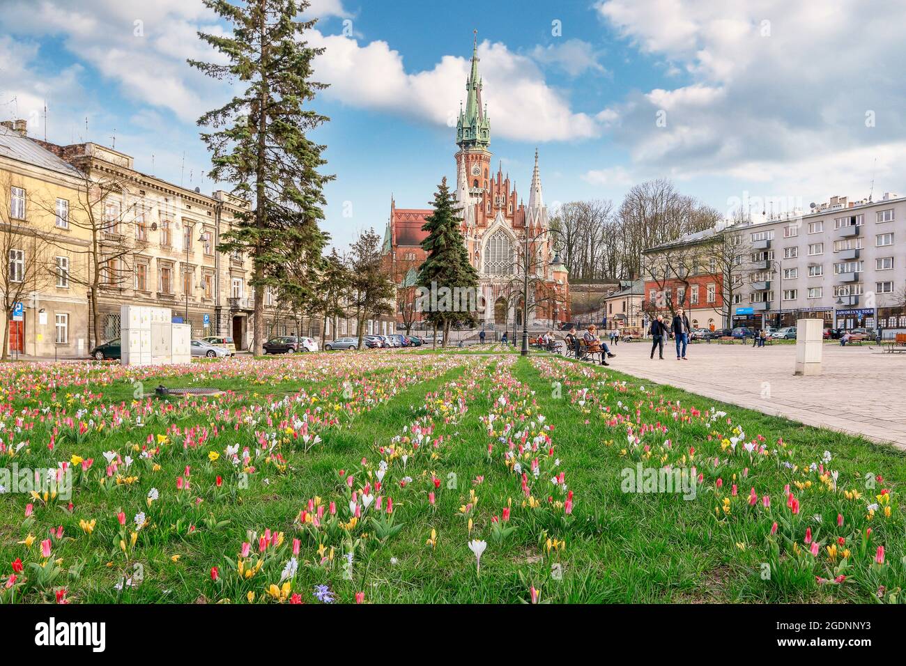 Magnifique lit de fleurs de printemps et vieux sous-sols dans le quartier de Podgorze, Cracovie, Pologne. Banque D'Images