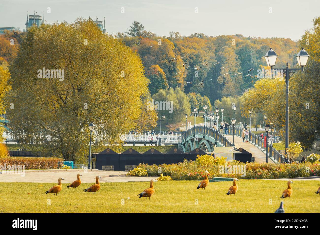 Moscou, Russie - 05 octobre 2020 : passerelle piétonne vers l'île Horseshoe dans le parc Tsaristyno le jour de l'automne Banque D'Images