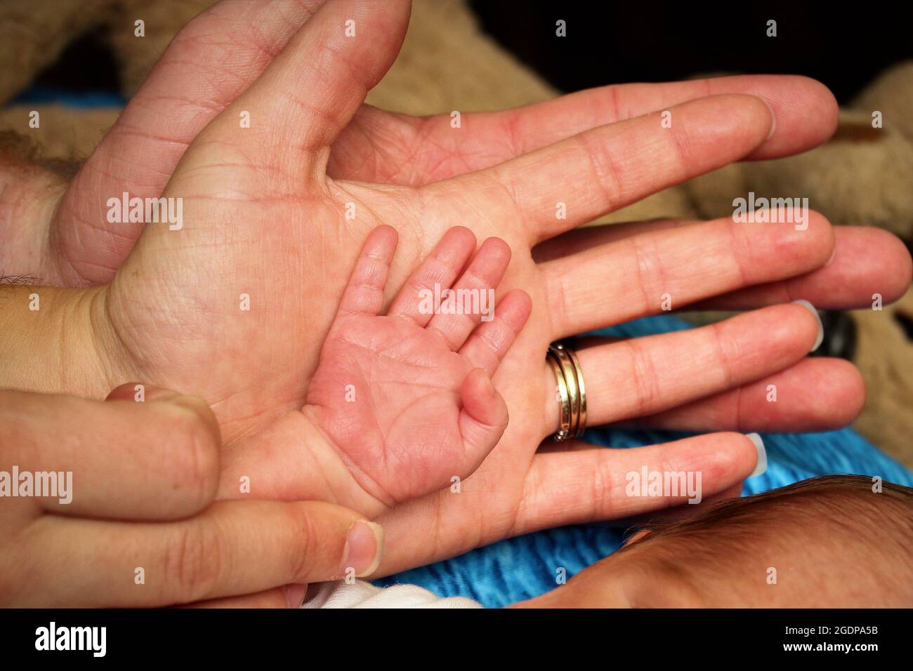 Papa Maman Et Les Mains De Bebe Montrant Les Parents Tenant La Main Qu Ils Guideront Tout Au Long De La Vie Photo Stock Alamy Papa Maman Et Les Mains De Bebe Montrant Les Parents Tenant La Main Qu Ils Guideront Tout Au Long De La Vie Photo Stock Alamy