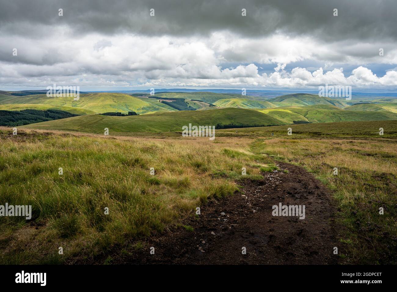 Vue depuis la crête de la frontière entre l'Écosse et l'Angleterre (Windy Gyle) en direction du sud, de l'autre côté des collines de Cheviot et du parc national de Northumberland. Banque D'Images