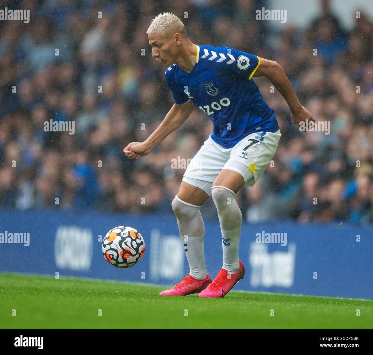 Goodison Park, Liverpool, Royaume-Uni. 14 août 2021. Premier League football, Everton contre Southampton ; Richarlison of Everton Credit: Action plus Sports/Alamy Live News Banque D'Images