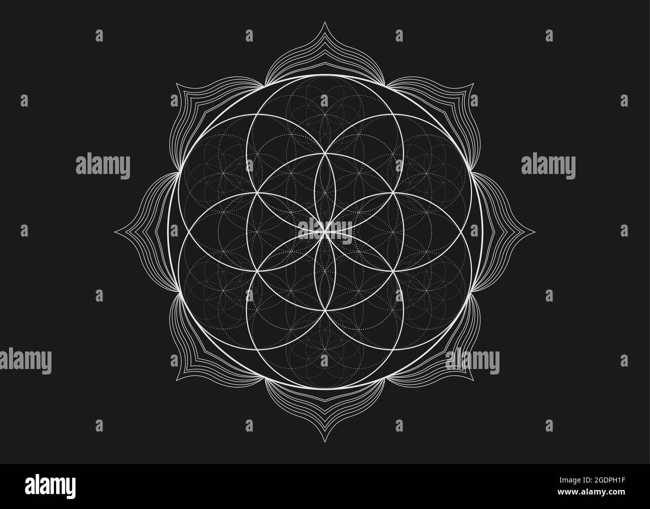 Géométrie Sacrée Tatouage Fleur De Vie Sacred geometry tattoo Banque de photographies et d'images à haute  résolution - Alamy