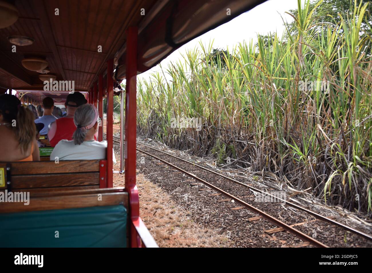 Oahu HI États-Unis 6/3&6/2021. Plantation Dole. Jardins. Train Express d'ananas. Labyrinthe. Boutique de cadeaux. Tourbillon d'ananas savoureux. Conforme aux normes ADA Banque D'Images