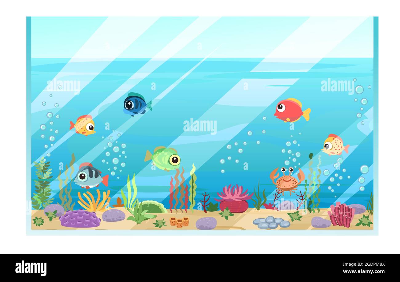 Aquarium en verre. Poissons tropicaux. La vie sous-marine. Animaux sauvages. Eau d'été. Illustration de style dessin animé. Conception plate. Art vectoriel Illustration de Vecteur