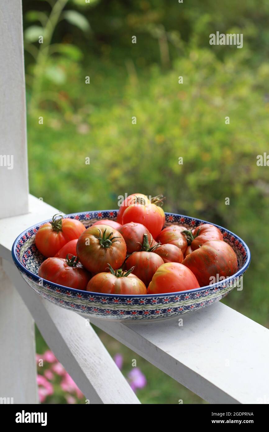 Tomates mûres dans un plat en céramique sur la main de la véranda Banque D'Images