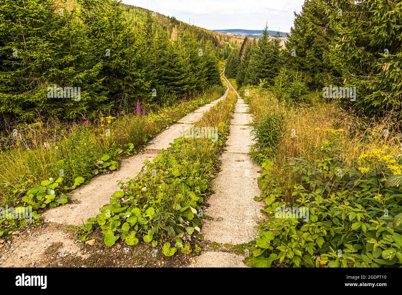 Patrouille sur les anciens barrières du rideau de fer de la frontière intérieure allemande Banque D'Images