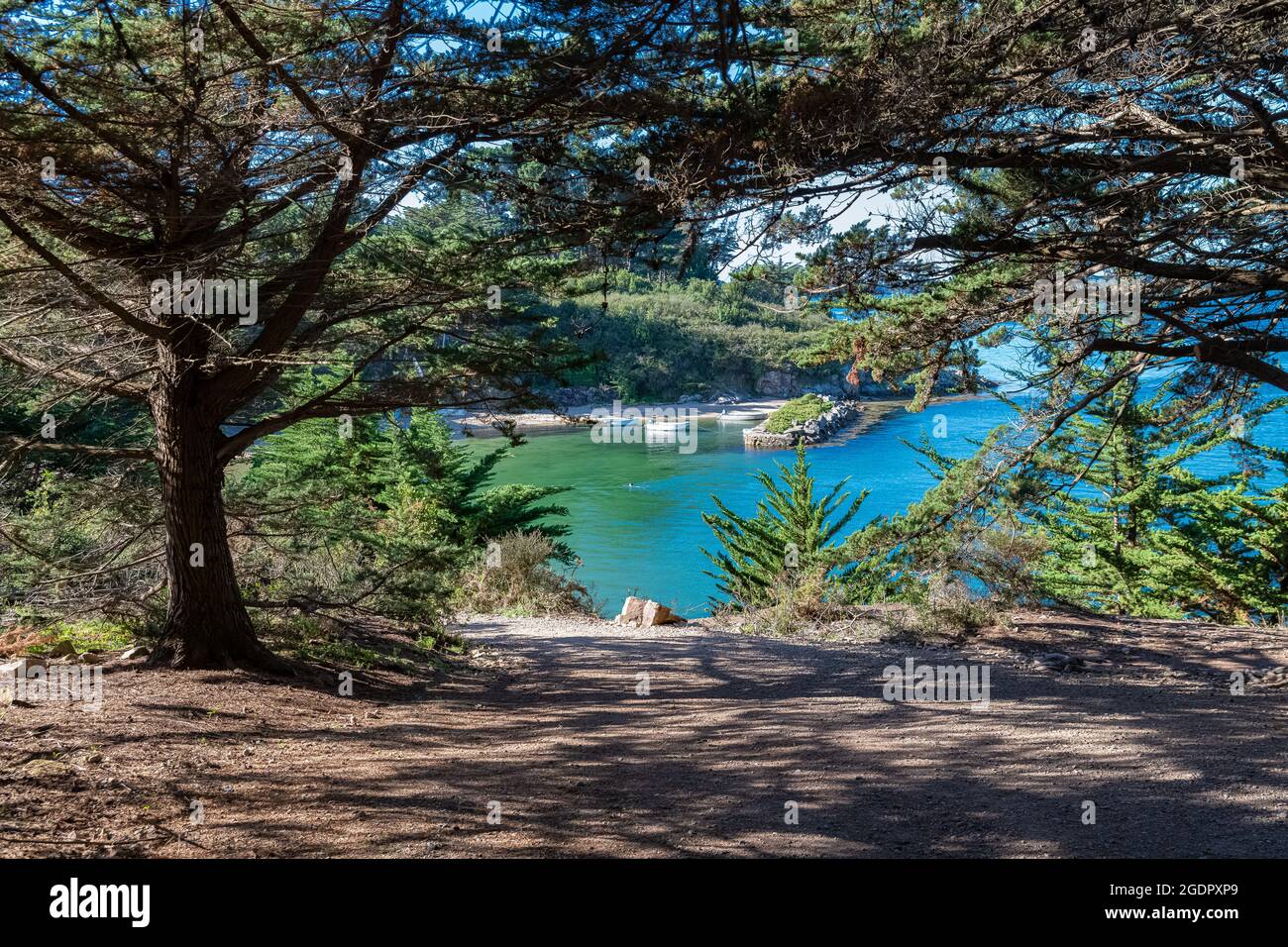 Bretagne, Ile aux Moines dans le golfe du Morbihan, belle plage en été Banque D'Images