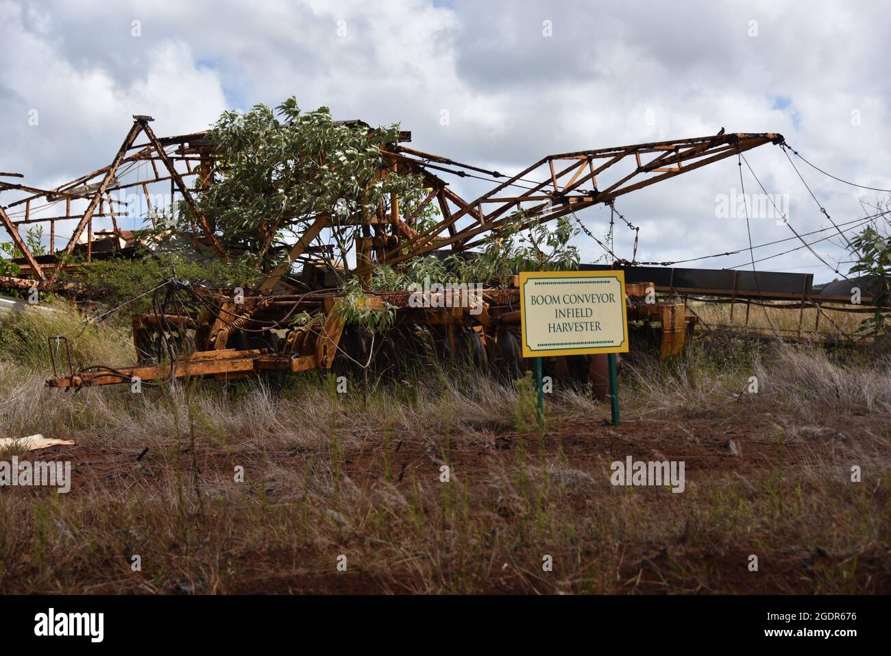 Oahu HI États-Unis 6/3&6/2021. Plantation Dole. Jardins. Train Express d'ananas. Labyrinthe. Boutique de cadeaux. Tourbillon d'ananas savoureux. Conforme aux normes ADA Banque D'Images