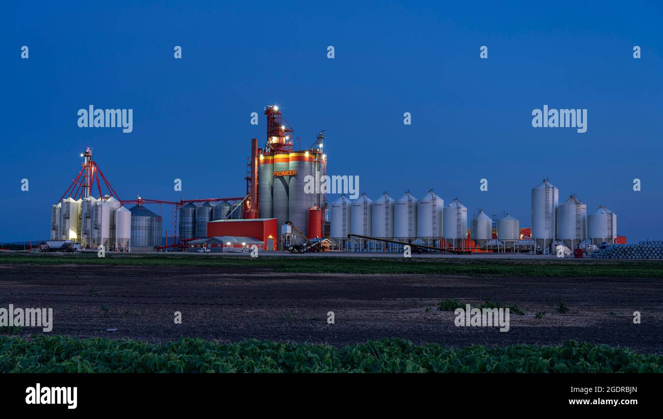 Le terminal de transport de grain intérieur Pioneer à la tombée de la nuit à Dauphin, au Manitoba, au Canada. Banque D'Images