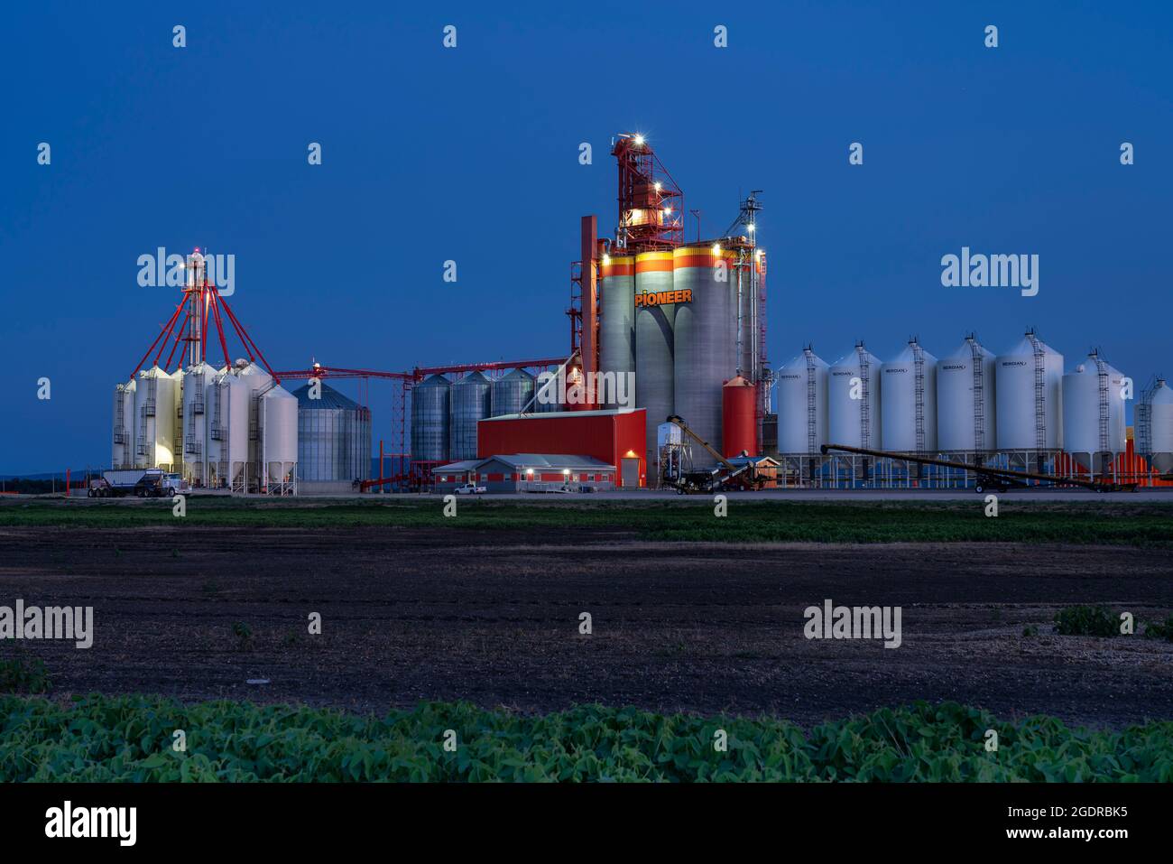 Le terminal de transport de grain intérieur Pioneer à la tombée de la nuit à Dauphin, au Manitoba, au Canada. Banque D'Images