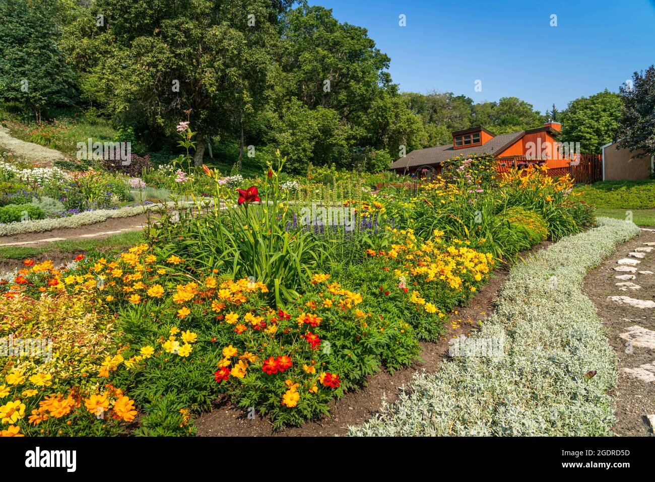 Un jardin de fleurs submergé privé à Neepawa, Manitoba, Canada. Banque D'Images