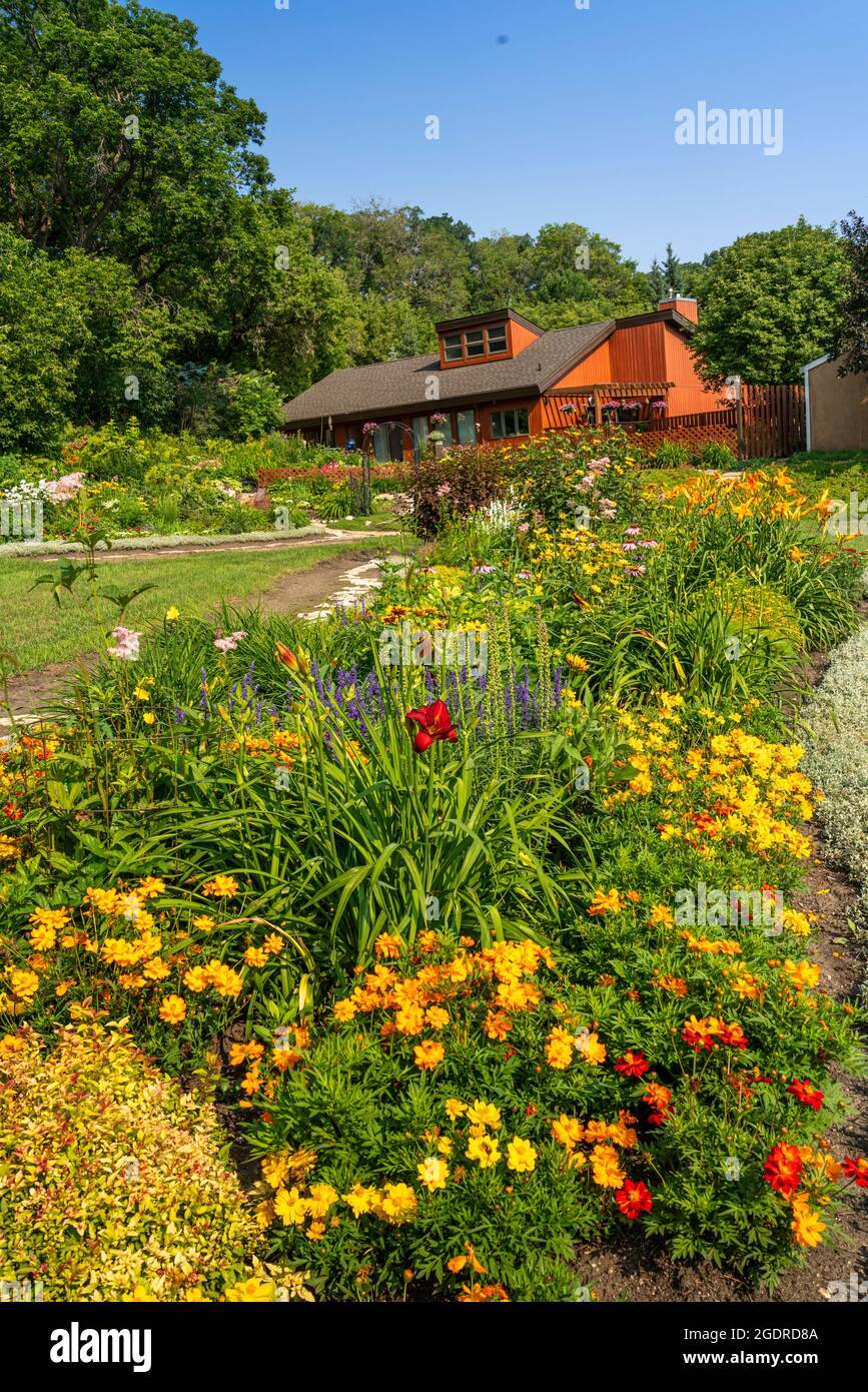 Un jardin de fleurs submergé privé à Neepawa, Manitoba, Canada. Banque D'Images