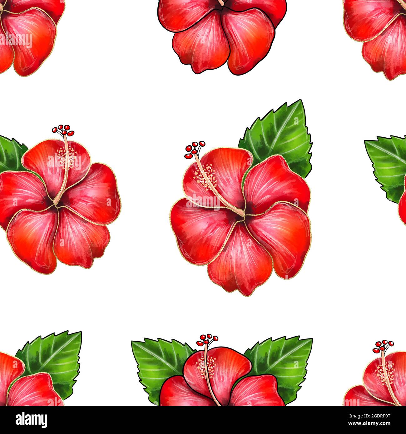 Illustration numérique du motif sans couture du bourgeon de fleurs d'hibiscus sur fond blanc isolé. Illustration de haute qualité Banque D'Images Illustration numérique du motif sans couture du bourgeon de fleurs d'hibiscus sur fond blanc isolé. Illustration de haute qualité Banque D'Images