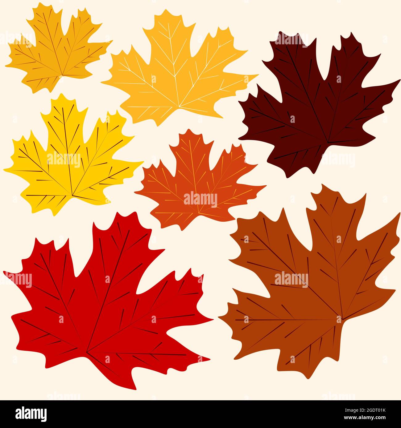 Ensemble de feuilles d'érable colorées. Feuillage d'automne. Illustration de Vecteur