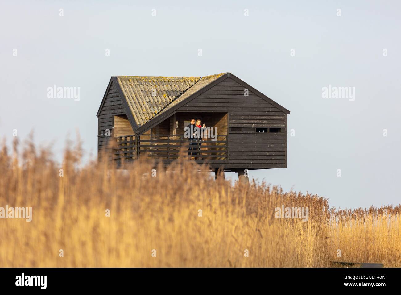 Les pays-Bas, Nieuwe Statenzijl, de Kiekkaaste birdwatcherÕs hut, la seule hutte hollandaise birdwatcherÕs en dehors des digues de mer. Estuaire de Dollard, Marclu Banque D'Images