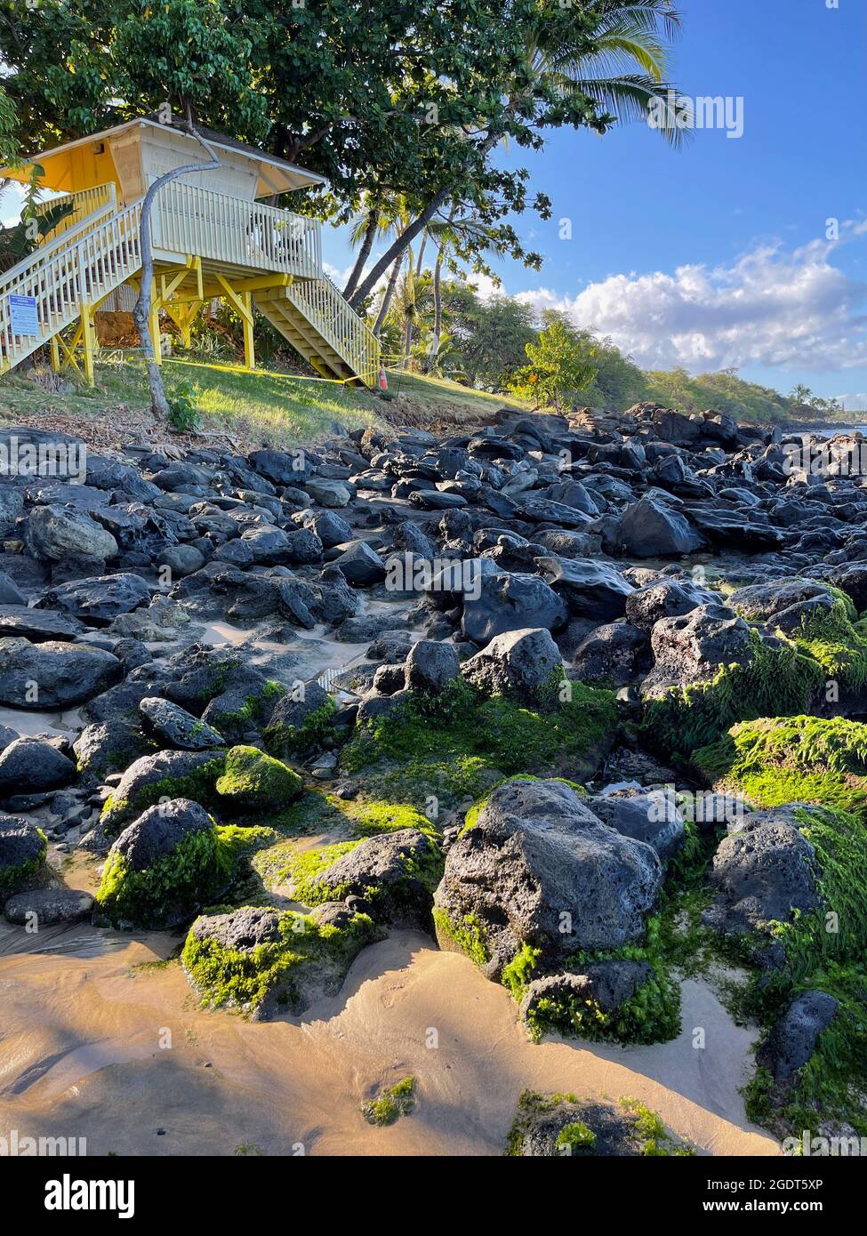 Les vagues de l'océan bordent les rives dorées et les rochers parsemés d'algues de la plage Ka'anapali à Lahaina, à Hawaï. Banque D'Images